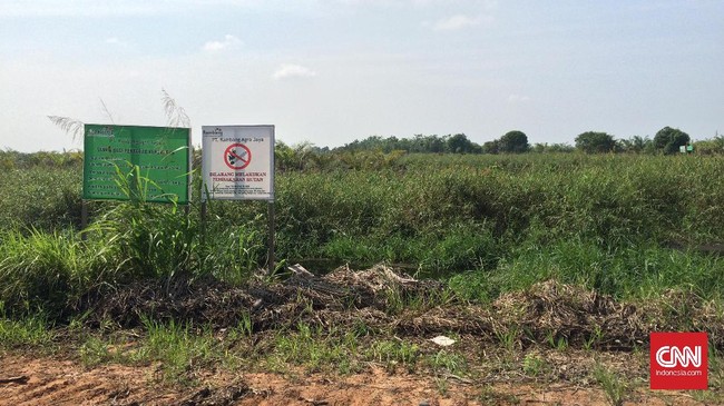 Kawasan restorasi lahan gambut bekas terbakar di Kedaton Kabupaten Ogan Komering Ilir (OKI), Sumatera Selatan seluas 20 hektare yang ditanami pepohonan selain sawit untuk mencegah terjadinya kebakaran kembali di lahan ini.