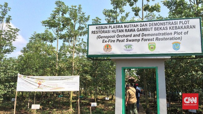 Gubernur Sumatera Selatan, Alex Noerdin menginginkan agar pusat penelitian gambut berdiri di Ogan Komering Ilir.