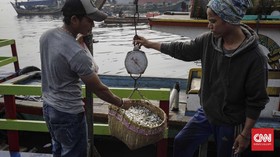 Menteri Susi Jamin KUR Mikro Nelayan Bebas Agunan
