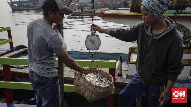 Nelayan dapat mengajukan Kredit Usaha Rakyat (KUR) mikro tanpa agunan dengan plafon kredit maksimal Rp25 juta.