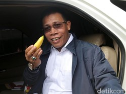 Masinton PDIP Sindir Ada Cawapres Seperti Bawang Putih Selundupan
