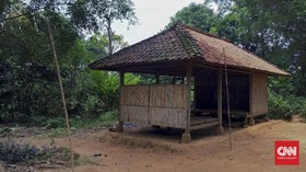 Memimpikan Setruman Listrik di Tengah Pusaran Hutan Jati