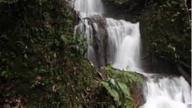 Pasa Harau Art & Culture Festival Digelar