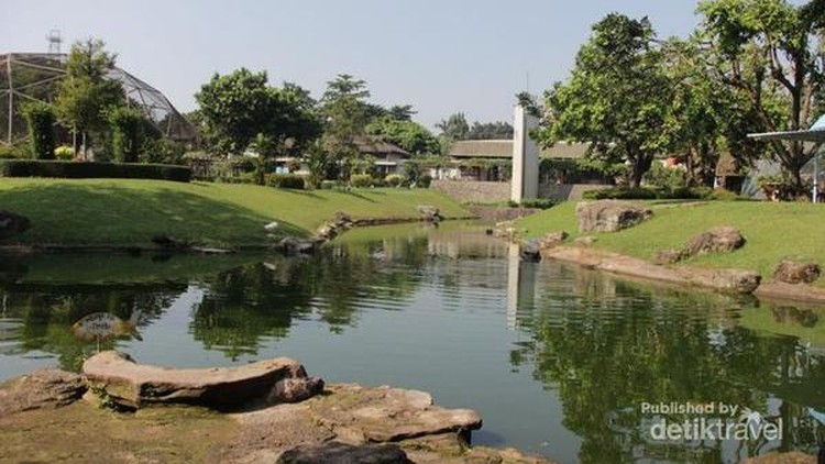 Sedang mencari tempat wisata keluarga di Jakarta Timur? Bunda bisa kunjungi taman-taman yang cocok untuk mengisi liburan berikut ya.