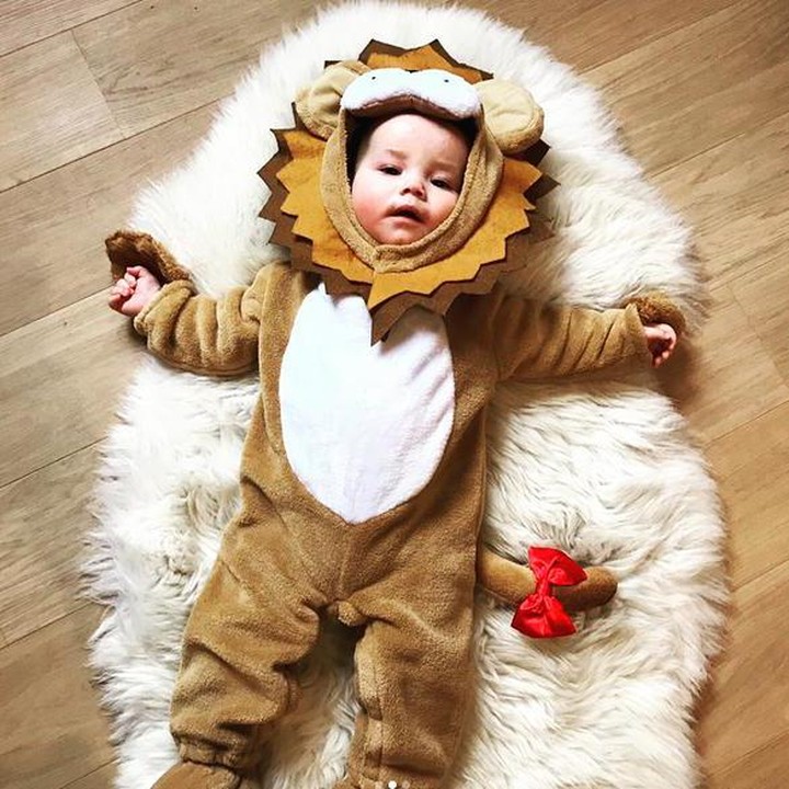 <div>Harimau cilik ini terbaring kelelahan sepertinya. (Foto: Instagram/@bvalkenborg)</div><div> </div>