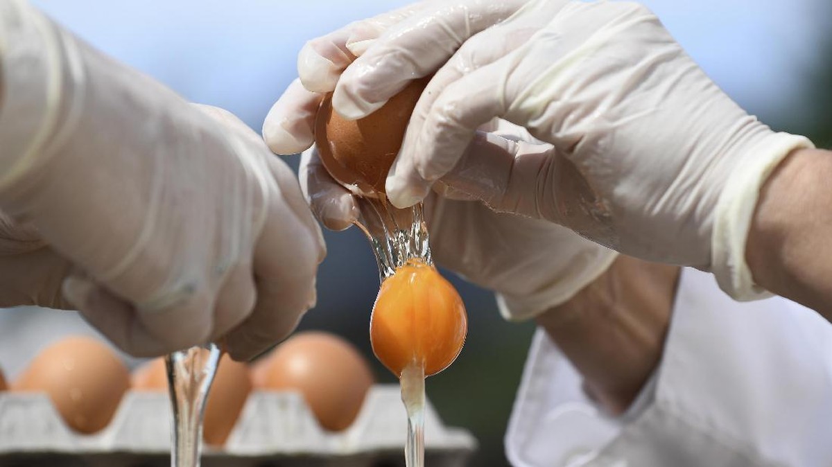 FOTO: Festival Telur Dadar Raksasa yang Menggiurkan