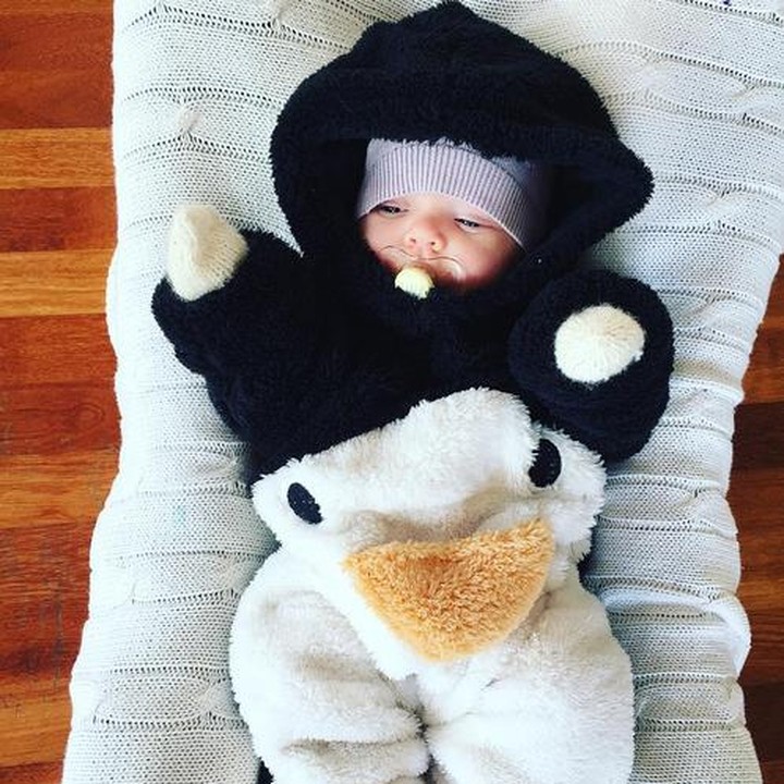 <div>Gemas! Pinguinnya lagi ngempeng. (Foto: Instagram/@pauliinaniska)</div><div> </div>
