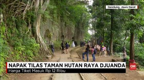 Menguak Sejarah Bangsa di Taman Hutan Raya Djuanda