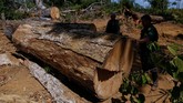 FOTO: Hitam Pekat Dampak Pembakaran Hutan Amazon Ribuan kilometer persegi hutan hujan di Amazon menjadi korban pembakaran. Kejahatan itu masih berlangsung meski operasi bersenjata pemerintah sudah dilakukan.