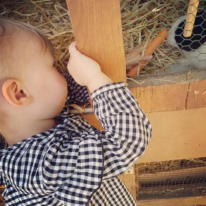<div style="color: #500050; font-family: arial, sans-serif; font-size: 12.8px;">Hayo... kamu kok takut-takut sih kasih wortelnya. (Foto: Instagram @jenny_vom_dorf)</div><div> </div>