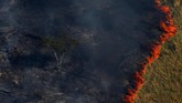 FOTO: Hitam Pekat Dampak Pembakaran Hutan Amazon Ribuan kilometer persegi hutan hujan di Amazon menjadi korban pembakaran. Kejahatan itu masih berlangsung meski operasi bersenjata pemerintah sudah dilakukan.