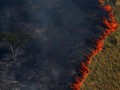FOTO: Hitam Pekat Dampak Pembakaran Hutan Amazon