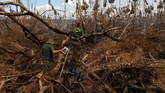 FOTO: Hitam Pekat Dampak Pembakaran Hutan Amazon Ribuan kilometer persegi hutan hujan di Amazon menjadi korban pembakaran. Kejahatan itu masih berlangsung meski operasi bersenjata pemerintah sudah dilakukan.