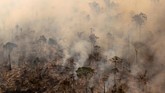 FOTO: Hitam Pekat Dampak Pembakaran Hutan Amazon Ribuan kilometer persegi hutan hujan di Amazon menjadi korban pembakaran. Kejahatan itu masih berlangsung meski operasi bersenjata pemerintah sudah dilakukan.