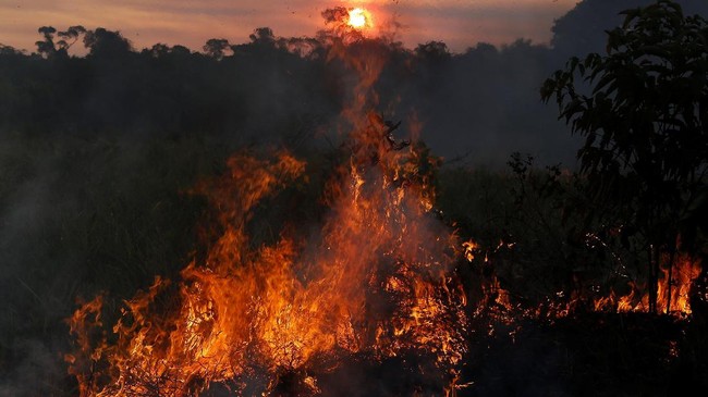 Kebakaran lahan yang melanda hutan hujan Amazon di Brasil disebut telah mencapai rekor terparah tahun ini.