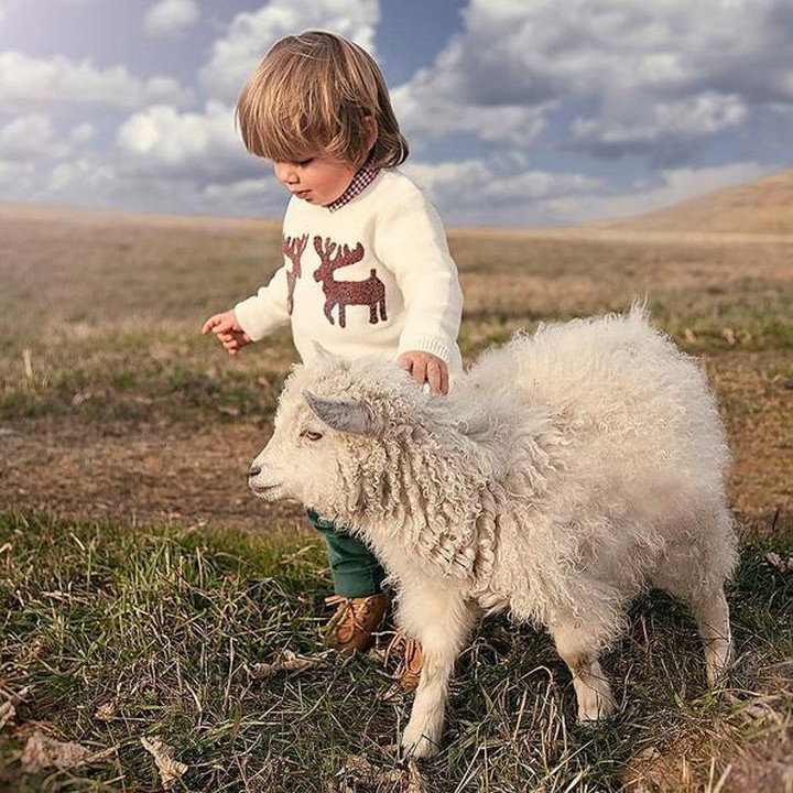 <div style="color: #500050; font-family: arial, sans-serif; font-size: 12.8px;">Gemas juga! Nggak si kecil, nggak dombanya. Sama-sama lucu. (Foto: Instagram @glyniscarpenter)</div><div> </div>