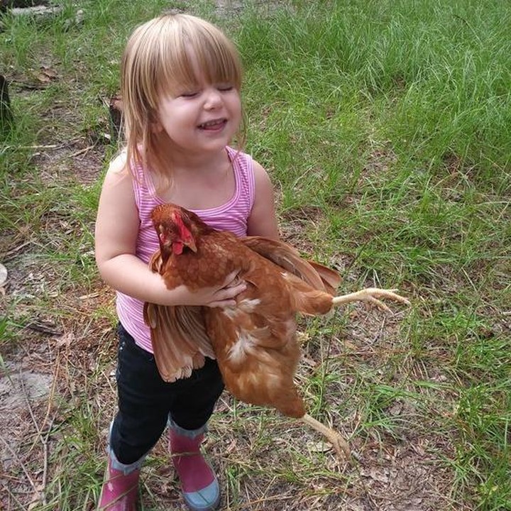 <span style="color: #500050; font-family: arial, sans-serif; font-size: 12.8px;">Berani sekali gadis ini menggendong ayam ternaknya. Hebat! (Foto: Instagram @theyogahick)</span>