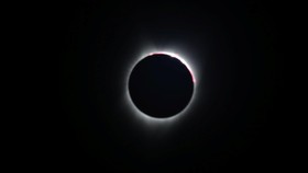 'Total Eclipse of the Heart' Naik 500 Persen karena Gerhana