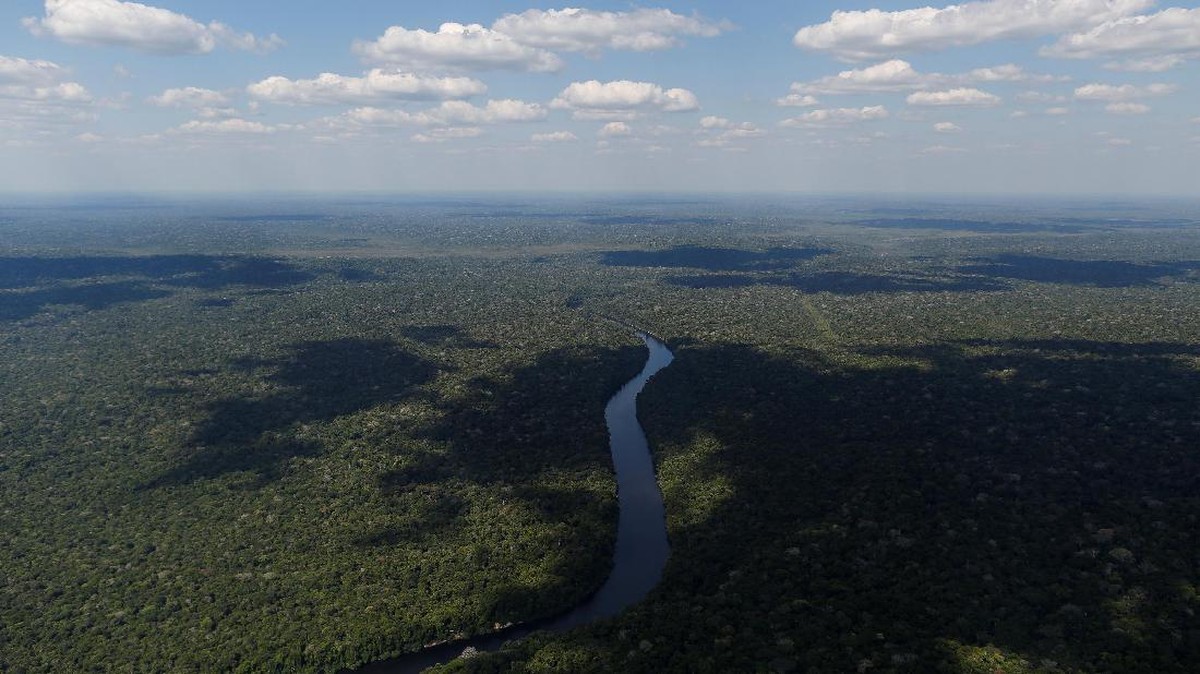 FOTO: Hitam Pekat Dampak Pembakaran Hutan Amazon