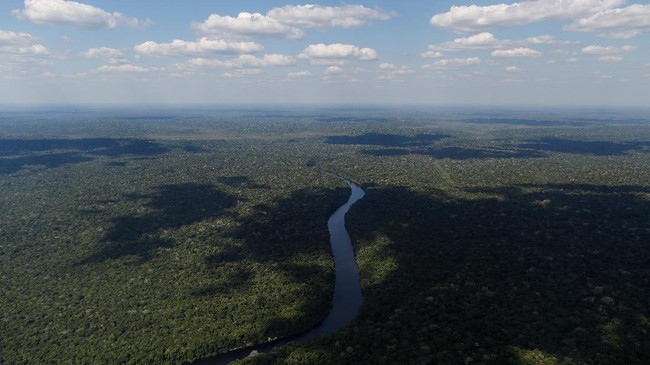 Pemerintah Jerman memutuskan untuk menangguhkan pemberian dana 35 juta euro untuk Brasil yang semula dipakai membiayai proyek-proyek pelestarian hutan Amazon.