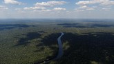 FOTO: Hitam Pekat Dampak Pembakaran Hutan Amazon Ribuan kilometer persegi hutan hujan di Amazon menjadi korban pembakaran. Kejahatan itu masih berlangsung meski operasi bersenjata pemerintah sudah dilakukan.