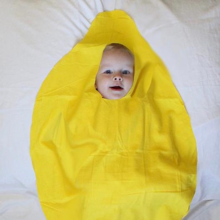 <span class="im" style="color: #500050; font-family: arial, sans-serif; font-size: 12.8px;">Gemas, si kecil berubah menjadi lemon. <span style="font-size: 12.8px;">(Foto: Instagram @tishbollema)</span></span><div><span class="im" style="color: #500050; font-family: arial, sans-serif; font-size: 12.8px;"><span style="font-size: 12.8px;"> </span></span></div>
