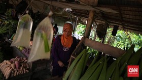 Lidah Buaya, Minuman Favorit Warga Pontianak