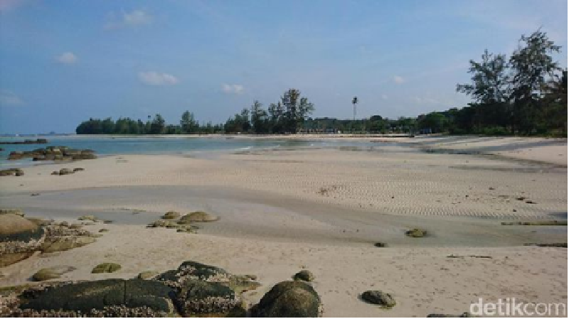 Sebanyak 600 wisatawan asal China berhasil diboyong ke Bintan via Tanah Merah, Singapura