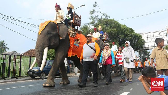 Tiga parade gajah mengalungkan rangkaian bunga pada Gubernur Lampung yang membuka acara tersebut. Parade seni budaya juga meramaikan acara ini.