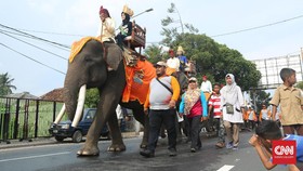 Parade Gajah Meriahkan Lampung Krakatau Festival