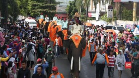 Delapan Gajah Jadi Bintang di Parade Lampung Krakatau 2017