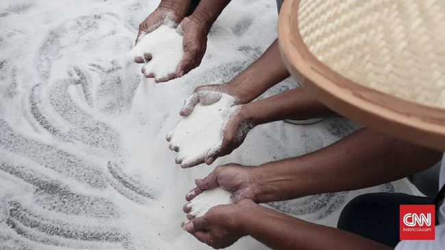 Pemerintah Belum Beri Batas Waktu Bulog Serap Gula Petani Kementerian Perdagangan (Kemendag) mengaku belum menetapkan batas waktu bagi Perum Badan Urusan Logistik (Bulog) untuk menjalankan tugas menyerap gula petani.