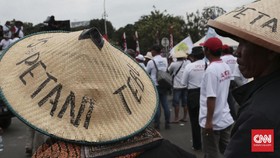 Petani Tebu Merana, Gula 100 Ribu Ton Tak Laku-Harga Terjun Bebas
