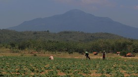 Reforma Agraria Jokowi-JK Dianggap Belum Jamin Kesejahteraan