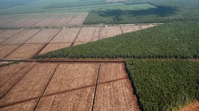 KPA Ungkap Konflik Agraria di Jambi 14 Tahun Silam