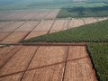 KPA Ungkap Konflik Agraria di Jambi 14 Tahun Silam