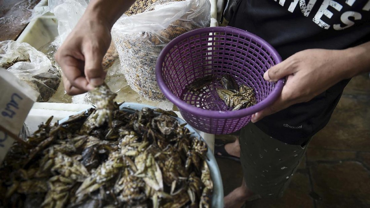 FOTO: Kala Restoran Bangkok Mulai Sajikan Serangga