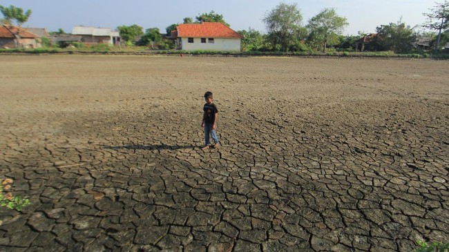 Kekeringan ekstrem melanda NTT setelah 60 hari tak hujan. Sementara BPBD Pemkab Sampang telah menetapkan status darurat kekeringan di 42 desa.