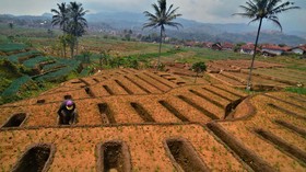 BI Ramal Inflasi Oktober 0,03 Persen Ditopang Panen Gadu