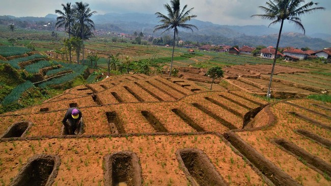 Bank Indonesia (BI) memperkirakan inflasi pada Oktober 2017 hanya akan meningkat 0,03 persen secara bulanan (MoM) atau 3,61 persen secara tahunan (YoY).
