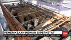 Hewan Ternak yang Melintas di Pantura Diperiksa Intensif