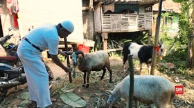 Bisnis Kambing Ridwan dan Inspirasi Warkop DKI