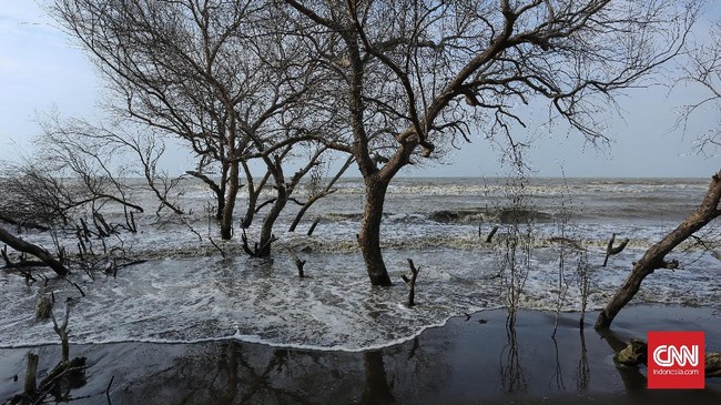 DLHK Provinsi Sumut membongkar pagar di kawasan hutan pesisir pantai Desa Regemuk, Deli Serdang.