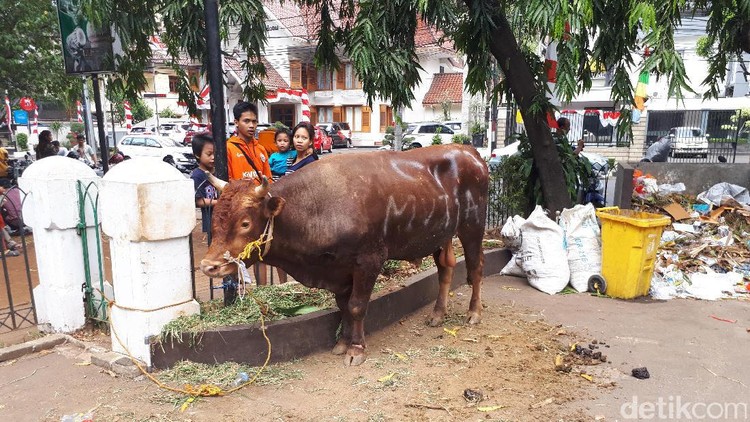 Seringkali pemotongan hewan kurban dijadikan tolok ukur keberanian anak. Duh, padahal nggak harus seperti ini juga.
