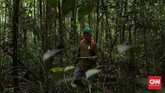 Mengasuh Orangutan, Melestarikan Masa Depan Kalimantan Barat diberkahi hutan sawit yang subur. Ada orangutan juga yang hidup di dalamnya yang kini nyawanya terancam oleh keserakahan manusia.
