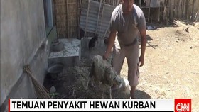 Temuan Penyakit Hewan Kurban