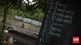 Mengasuh Orangutan, Melestarikan Masa Depan Kalimantan Barat diberkahi hutan sawit yang subur. Ada orangutan juga yang hidup di dalamnya yang kini nyawanya terancam oleh keserakahan manusia.