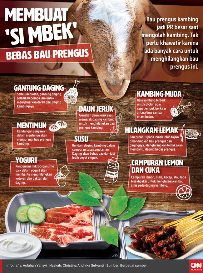 Bau prengus kambing jadi PR besar saat mengolah kambing. Tak perlu khawatir karena ada banyak cara untuk menghilangkan bau prengus ini.