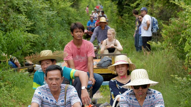 Kementerian Lingkungan Hidup Kamboja meminta supaya masyarakat meninggalkan tanaman langka tersebut.