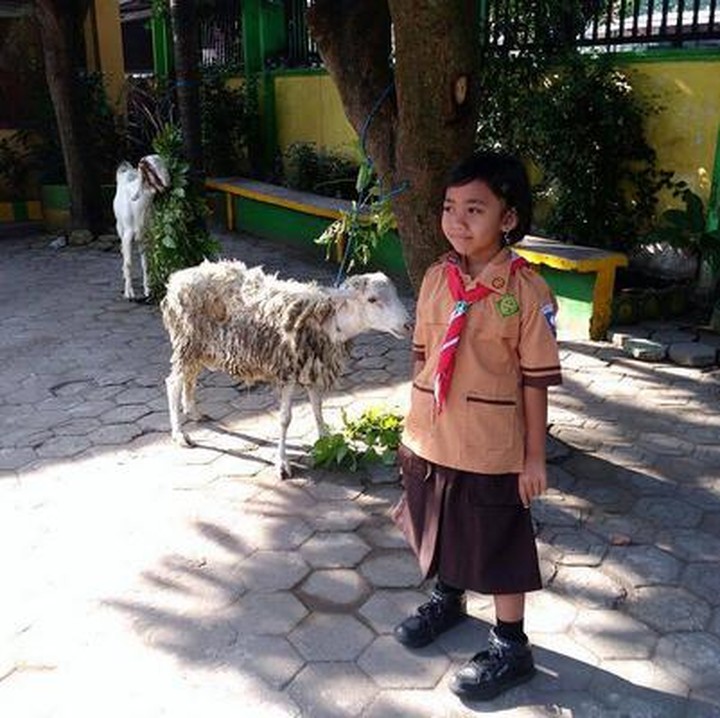 <p>Masih pakai seragam nggak masalah. Yang penting udah foto sama kambing. (Foto: Instagram/@hen_drik_jr)  </p>